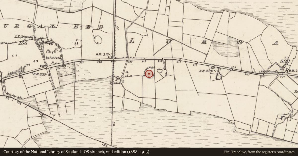 Ordnance Survey six-inch map, 2nd edition (1888–1915) covering the location of Ringfort - rath, Lurgan More, County Galway, with a pin at the register's coordinates