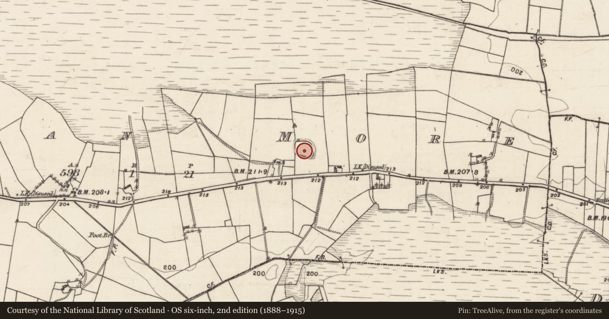 Ordnance Survey six-inch map, 2nd edition (1888–1915) covering the location of Enclosure, Lurgan More, County Galway, with a pin at the register's coordinates