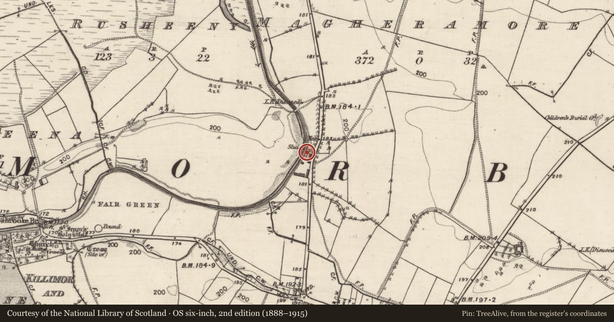 Ordnance Survey six-inch map, 2nd edition (1888–1915) covering the location of Mill - corn, Magheramore, County Galway, with a pin at the register's coordinates