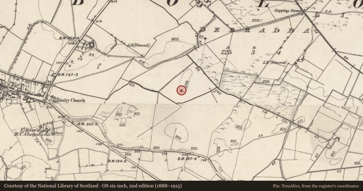 Ordnance Survey six-inch map, 2nd edition (1888–1915) covering the location of Quarry, Magheramore, County Galway, with a pin at the register's coordinates