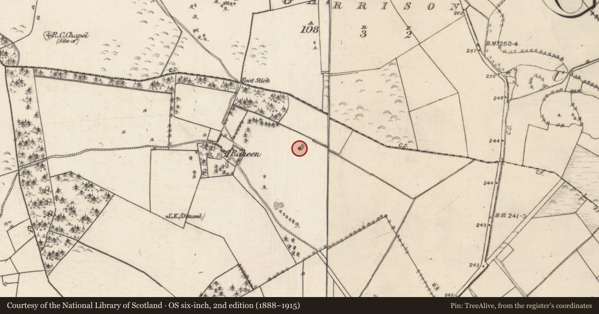 Ordnance Survey six-inch map, 2nd edition (1888–1915) covering the location of Quarry, Raheen, County Galway, with a pin at the register's coordinates