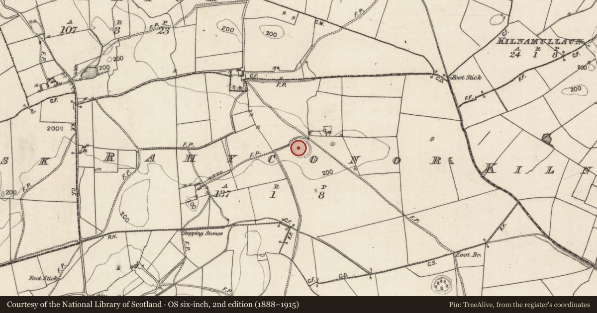Ordnance Survey six-inch map, 2nd edition (1888–1915) covering the location of Ringfort - rath, Rahyconor, County Galway, with a pin at the register's coordinates