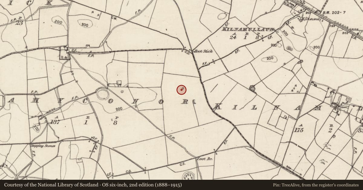 Ordnance Survey six-inch map, 2nd edition (1888–1915) covering the location of Quarry, Rahyconor, County Galway, with a pin at the register's coordinates