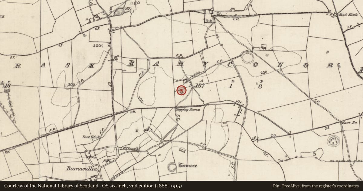 Ordnance Survey six-inch map, 2nd edition (1888–1915) covering the location of Quarry, Rahyconor, County Galway, with a pin at the register's coordinates