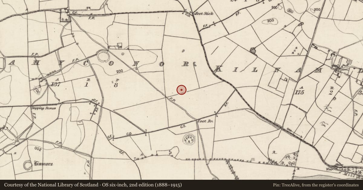 Ordnance Survey six-inch map, 2nd edition (1888–1915) covering the location of Quarry, Rahyconor, County Galway, with a pin at the register's coordinates