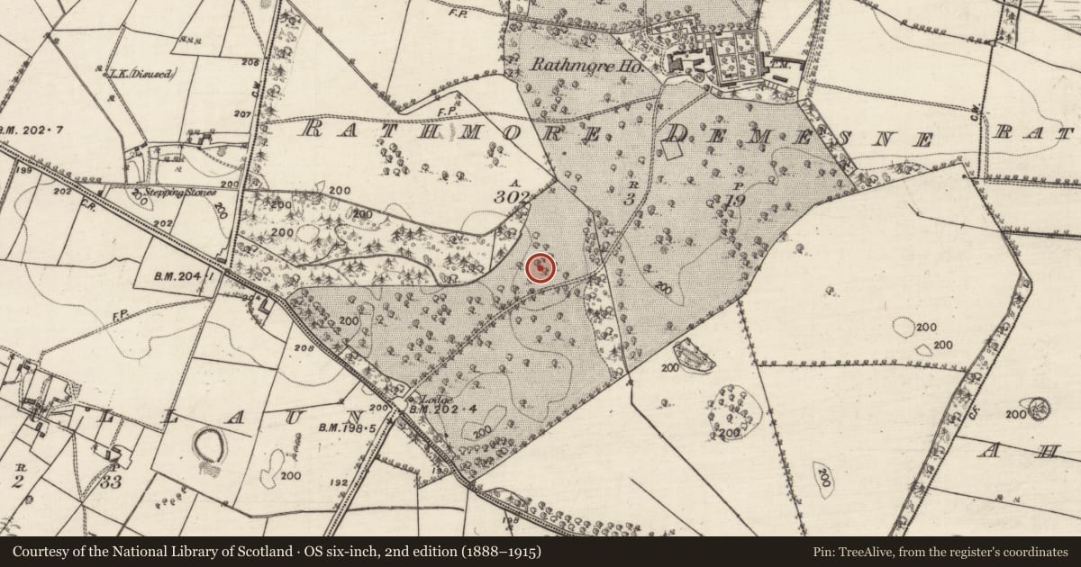 Ordnance Survey six-inch map, 2nd edition (1888–1915) covering the location of Designed landscape feature, Rathmore Demesne, County Galway, with a pin at the register's coordinates