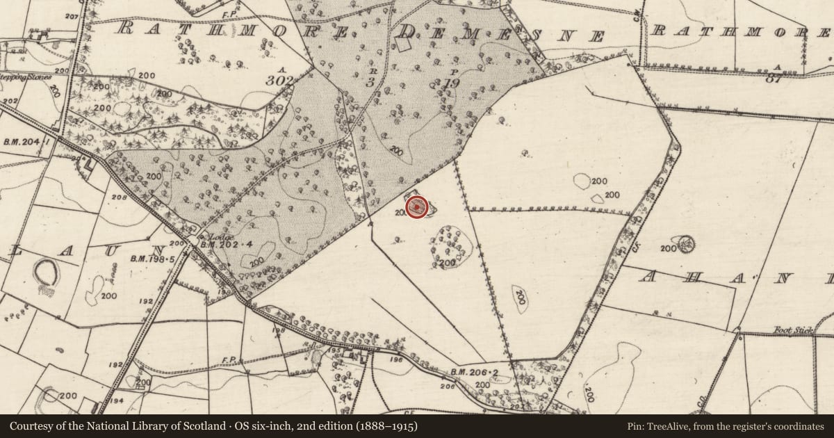 Ordnance Survey six-inch map, 2nd edition (1888–1915) covering the location of Quarry, Rathmore Demesne, County Galway, with a pin at the register's coordinates