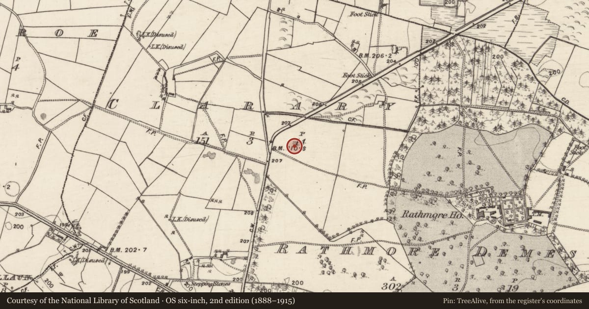 Ordnance Survey six-inch map, 2nd edition (1888–1915) covering the location of Quarry, Rathmore Demesne, County Galway, with a pin at the register's coordinates