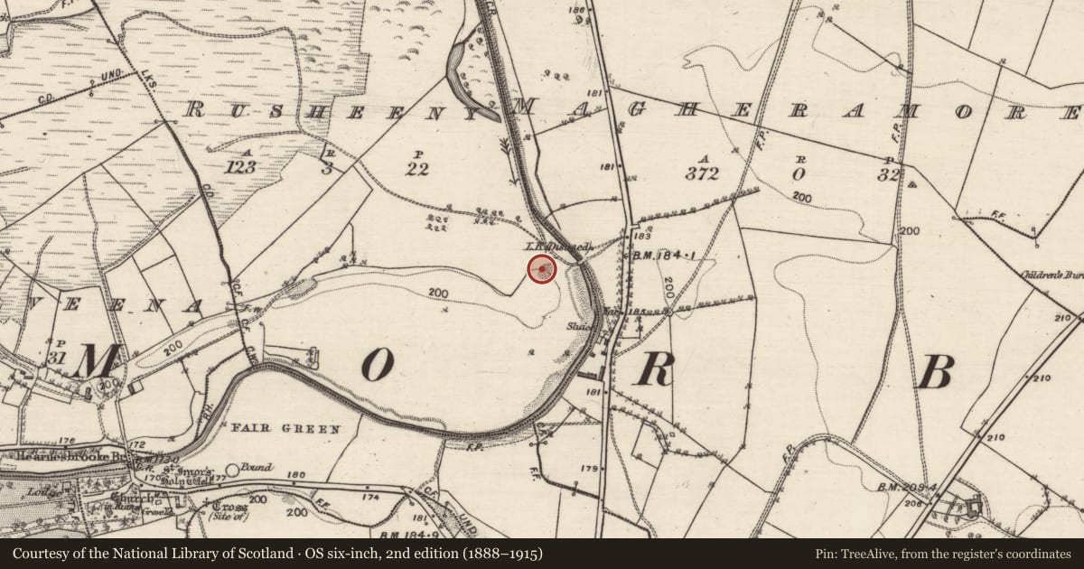 Ordnance Survey six-inch map, 2nd edition (1888–1915) covering the location of Quarry, Rusheeny, County Galway, with a pin at the register's coordinates