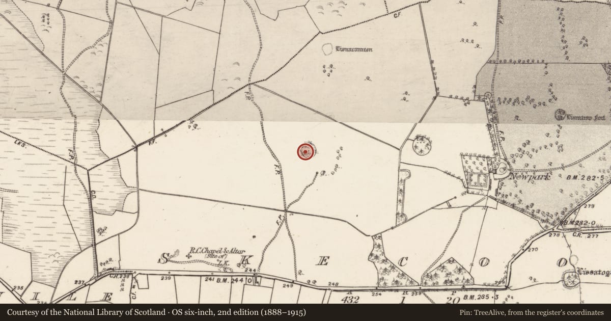 Ordnance Survey six-inch map, 2nd edition (1888–1915) covering the location of Enclosure, Skecoor, County Galway, with a pin at the register's coordinates