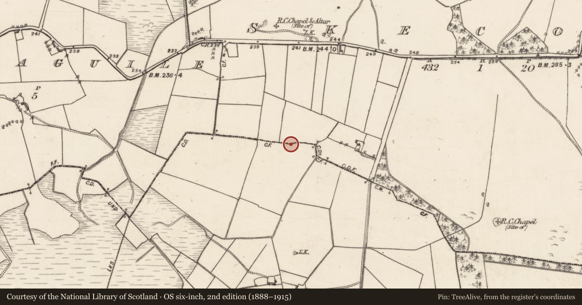 Ordnance Survey six-inch map, 2nd edition (1888–1915) covering the location of Quarry, Skecoor, County Galway, with a pin at the register's coordinates