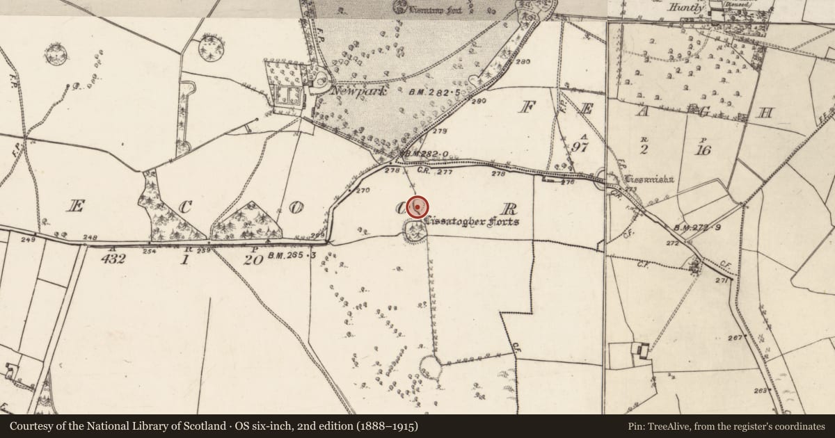 Ordnance Survey six-inch map, 2nd edition (1888–1915) covering the location of Ringfort - rath, Skecoor, County Galway, with a pin at the register's coordinates