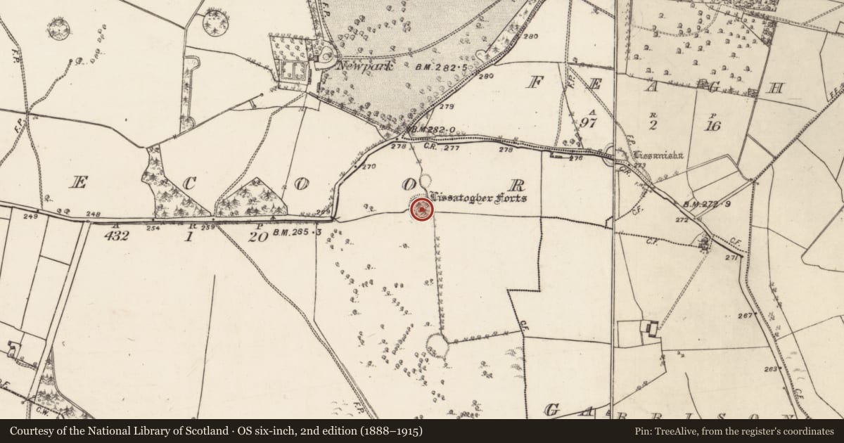 Ordnance Survey six-inch map, 2nd edition (1888–1915) covering the location of Ringfort - rath, Skecoor, County Galway, with a pin at the register's coordinates