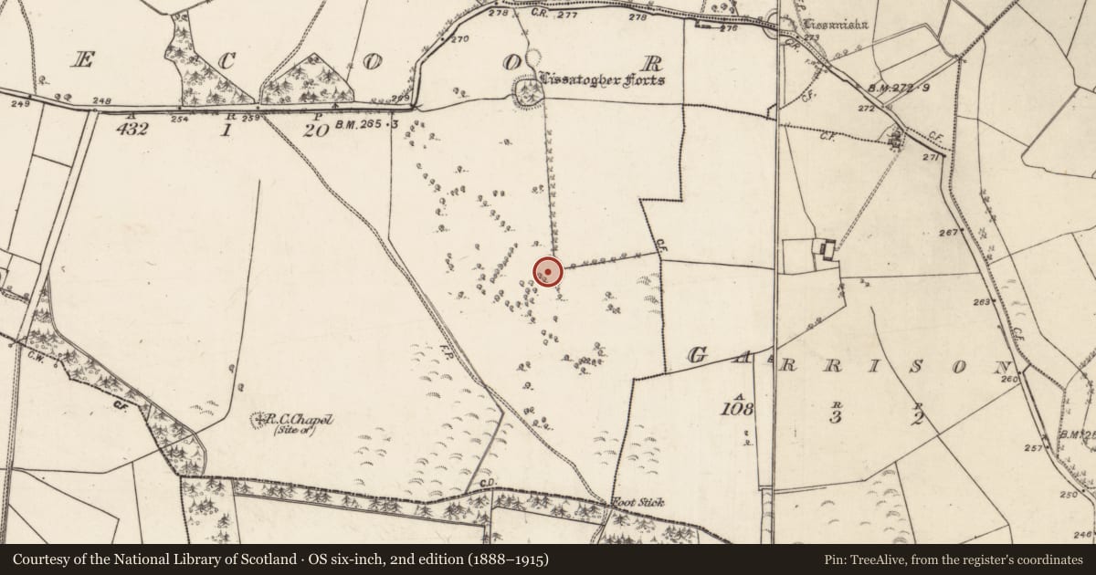 Ordnance Survey six-inch map, 2nd edition (1888–1915) covering the location of Ringfort - rath, Skecoor, County Galway, with a pin at the register's coordinates