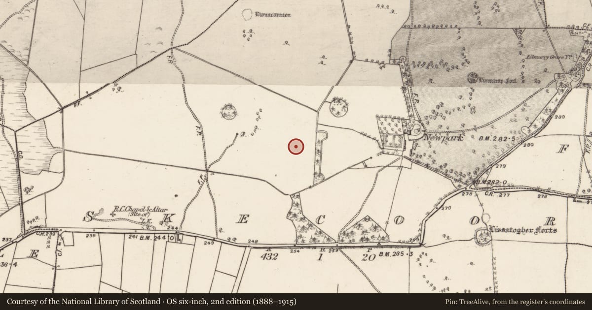 Ordnance Survey six-inch map, 2nd edition (1888–1915) covering the location of Quarry, Skecoor, County Galway, with a pin at the register's coordinates