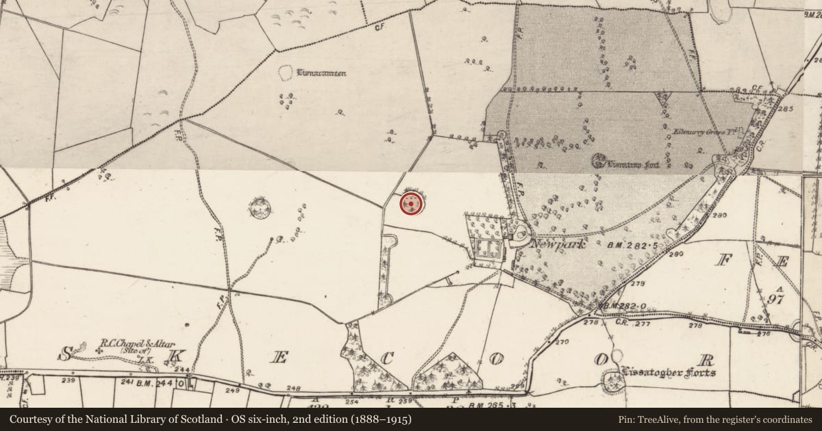 Ordnance Survey six-inch map, 2nd edition (1888–1915) covering the location of Enclosure, Skecoor, County Galway, with a pin at the register's coordinates