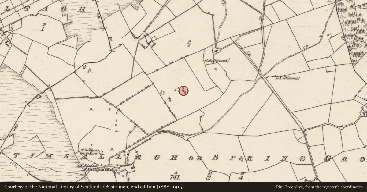 Ordnance Survey six-inch map, 2nd edition (1888–1915) covering the location of Quarry, Timsallagh Or Spring Grove, County Galway, with a pin at the register's coordinates