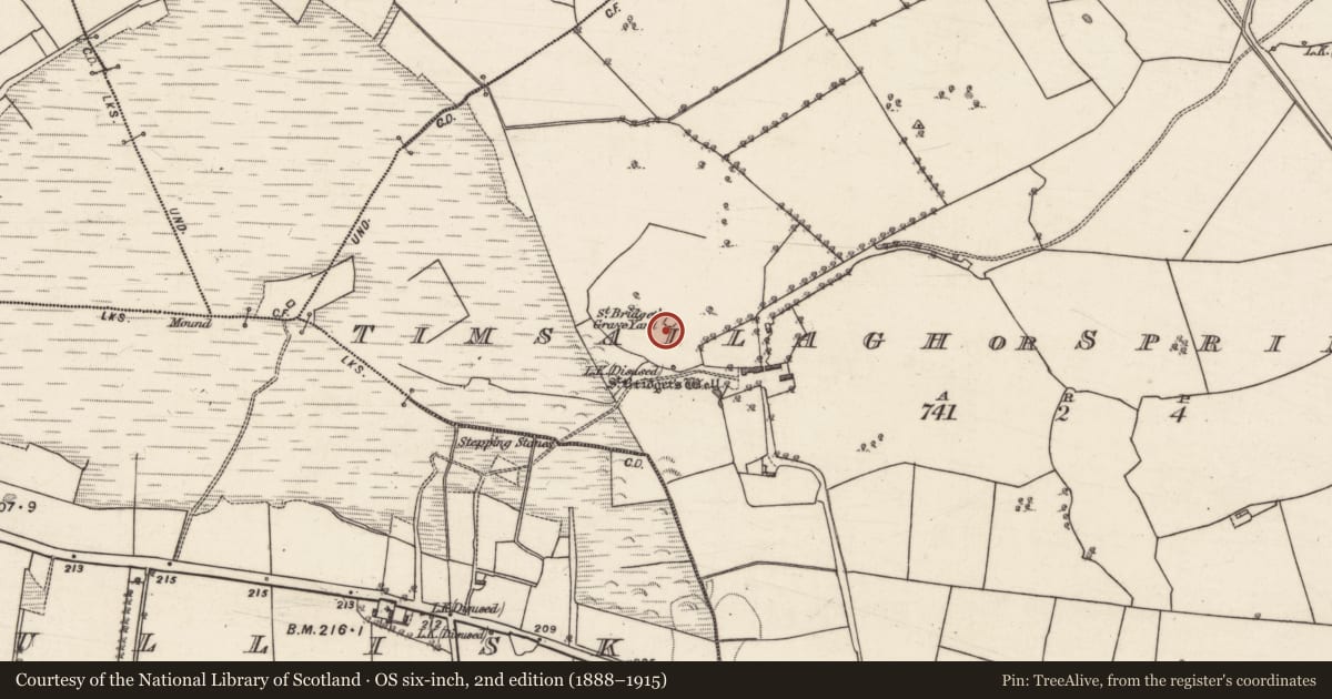 Ordnance Survey six-inch map, 2nd edition (1888–1915) covering the location of Burial ground, Timsallagh Or Spring Grove, County Galway, with a pin at the register's coordinates