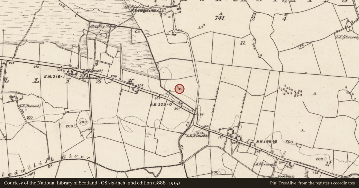 Ordnance Survey six-inch map, 2nd edition (1888–1915) covering the location of Quarry, Timsallagh Or Spring Grove, County Galway, with a pin at the register's coordinates