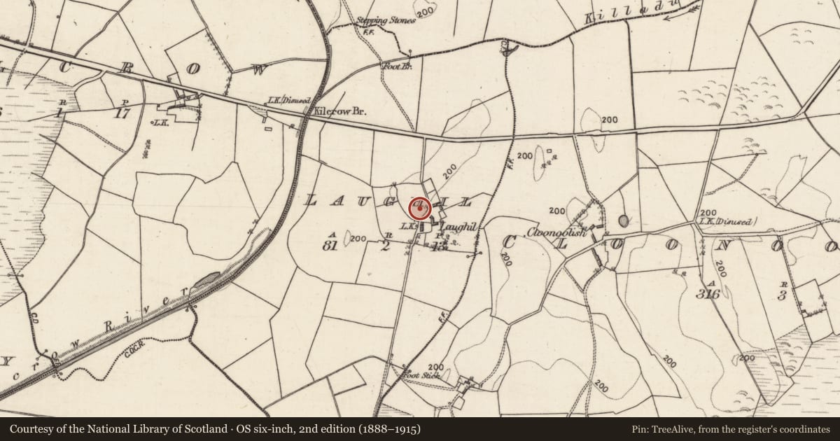 Ordnance Survey six-inch map, 2nd edition (1888–1915) covering the location of Bullaun stone, Laughil, County Galway, with a pin at the register's coordinates
