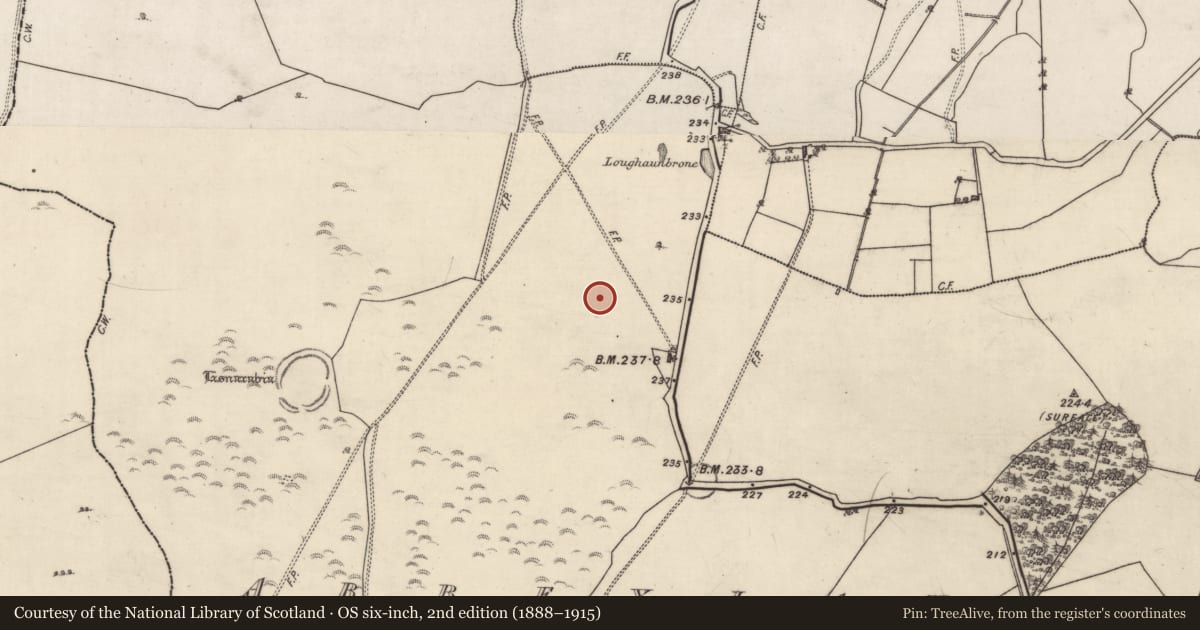 Ordnance Survey six-inch map, 2nd edition (1888–1915) covering the location of Quarry, Abbeyland Great, County Galway, with a pin at the register's coordinates