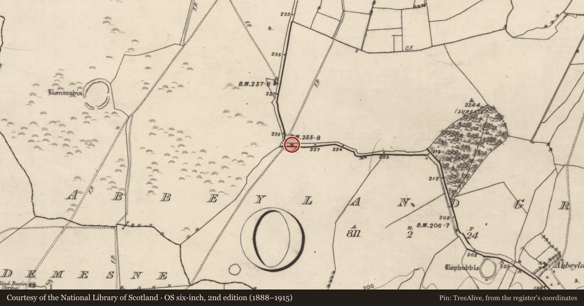 Ordnance Survey six-inch map, 2nd edition (1888–1915) covering the location of Ringfort - rath, Abbeyland Great, County Galway, with a pin at the register's coordinates