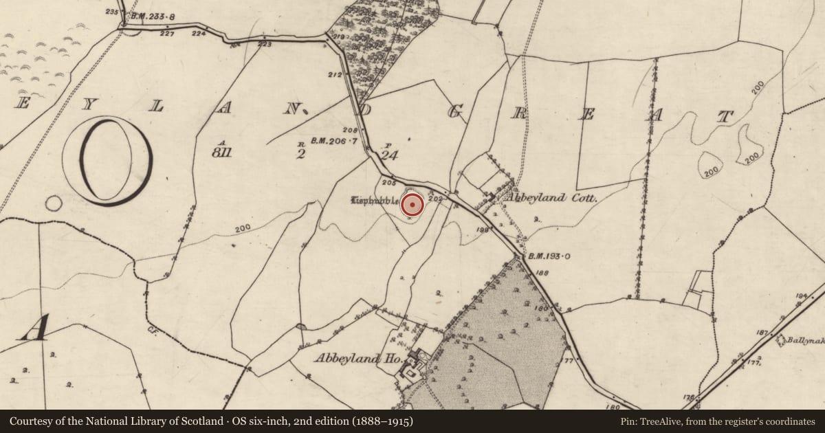 Ordnance Survey six-inch map, 2nd edition (1888–1915) covering the location of Ringfort - rath, Abbeyland Great, County Galway, with a pin at the register's coordinates