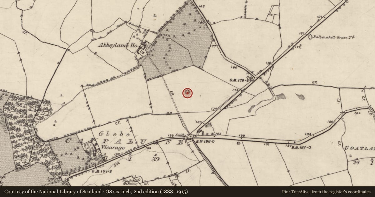 Ordnance Survey six-inch map, 2nd edition (1888–1915) covering the location of Barrow - ring-barrow, Abbeyland Great, County Galway, with a pin at the register's coordinates