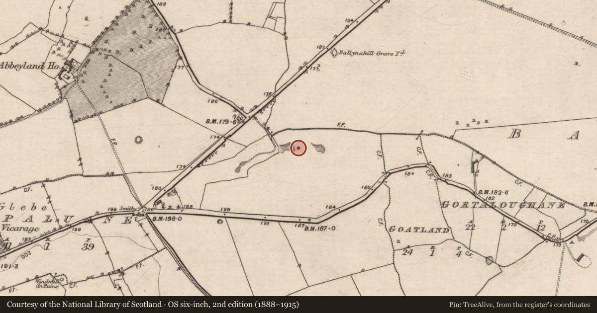 Ordnance Survey six-inch map, 2nd edition (1888–1915) covering the location of Quarry, Abbeyland Great, County Galway, with a pin at the register's coordinates