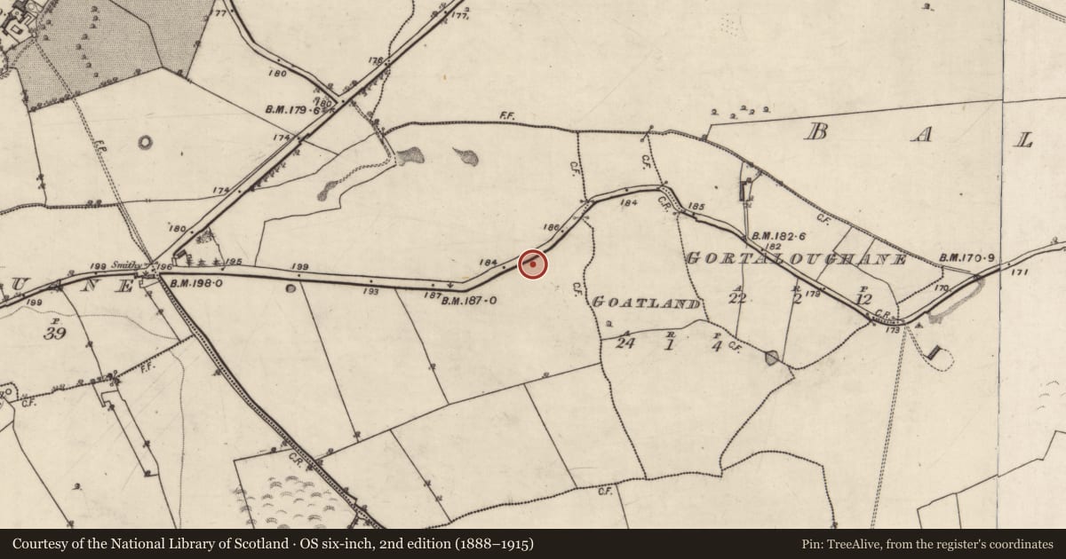 Ordnance Survey six-inch map, 2nd edition (1888–1915) covering the location of Quarry, Abbeyland Great, County Galway, with a pin at the register's coordinates