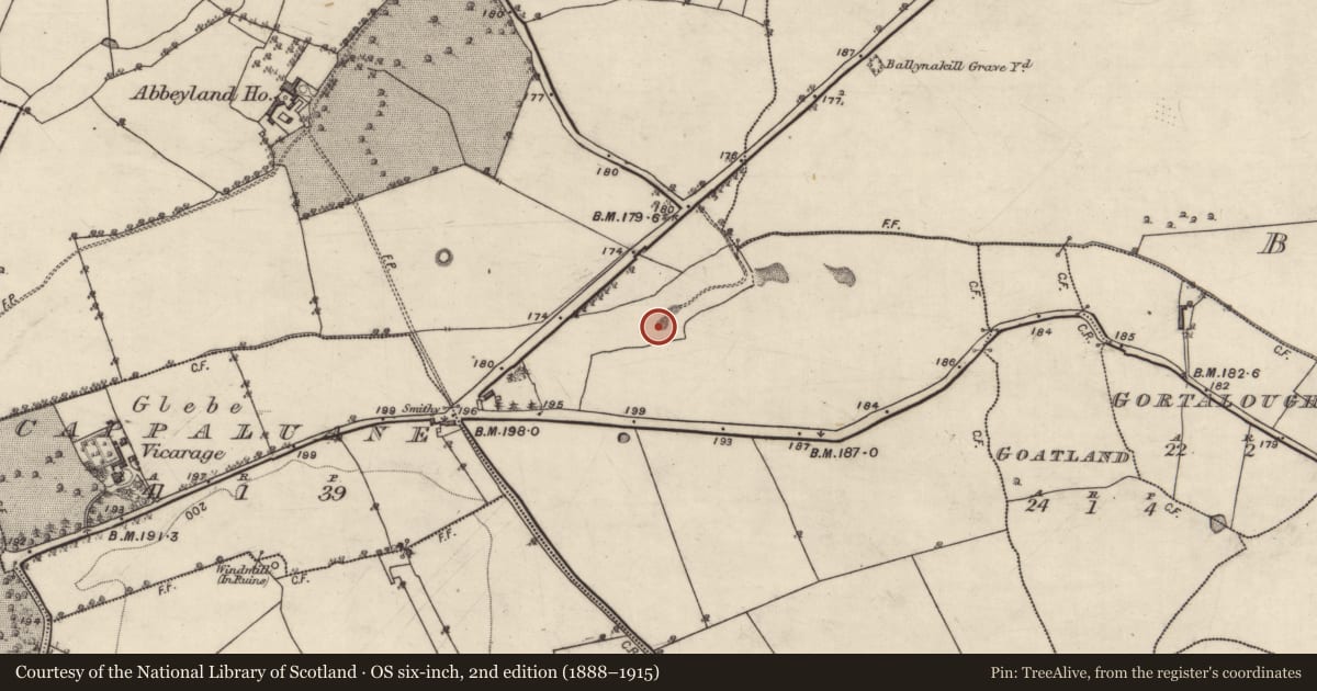Ordnance Survey six-inch map, 2nd edition (1888–1915) covering the location of Quarry, Abbeyland Great, County Galway, with a pin at the register's coordinates