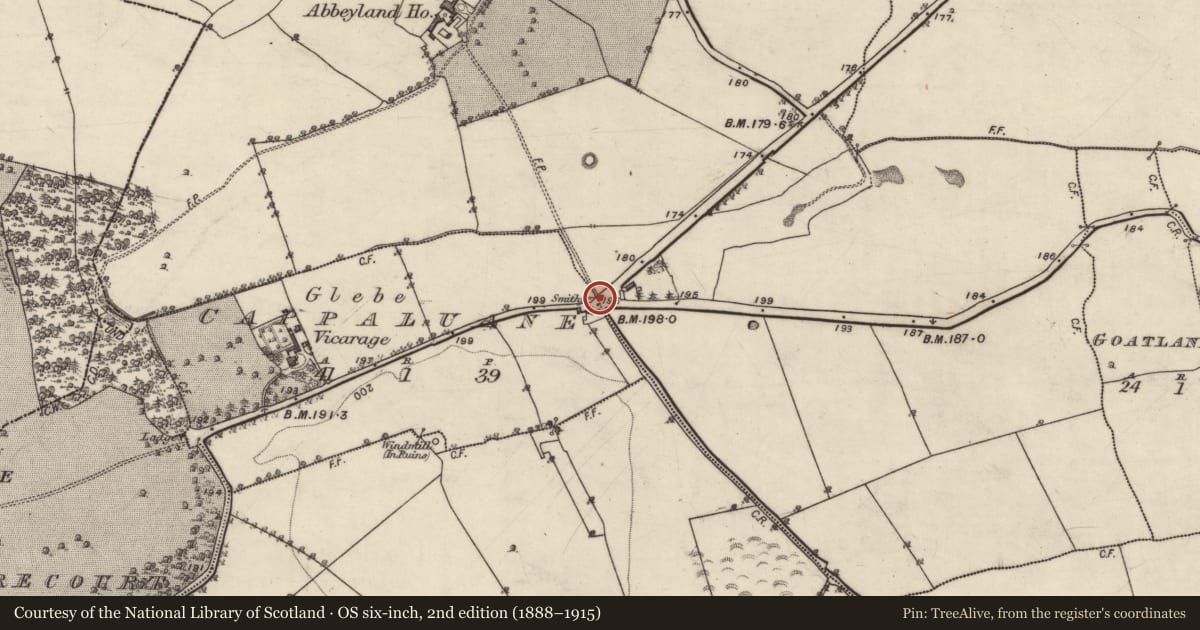 Ordnance Survey six-inch map, 2nd edition (1888–1915) covering the location of Church, Abbeyland Great, County Galway, with a pin at the register's coordinates