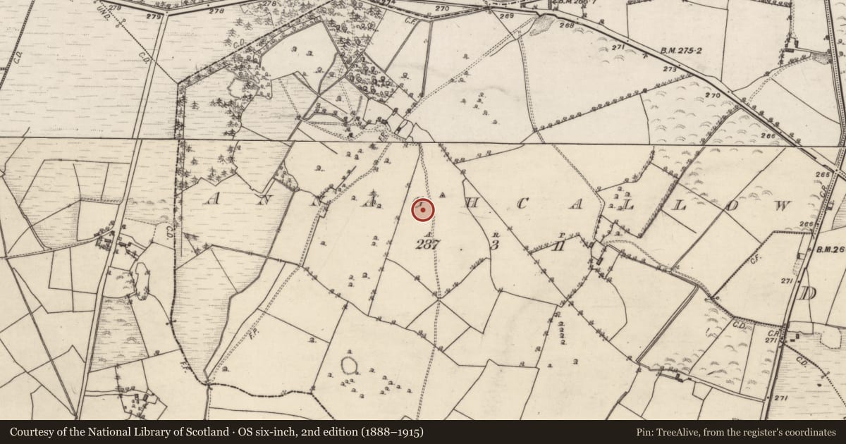 Ordnance Survey six-inch map, 2nd edition (1888–1915) covering the location of Enclosure, Annaghcallow, County Galway, with a pin at the register's coordinates