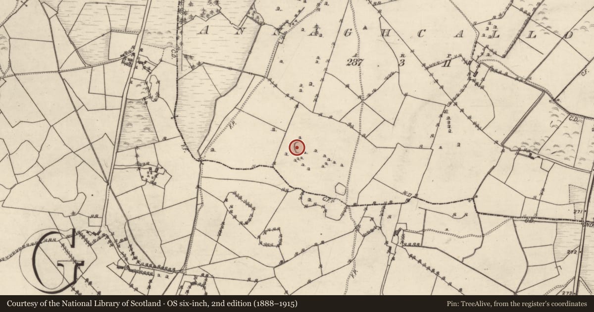Ordnance Survey six-inch map, 2nd edition (1888–1915) covering the location of Enclosure, Annaghcallow, County Galway, with a pin at the register's coordinates