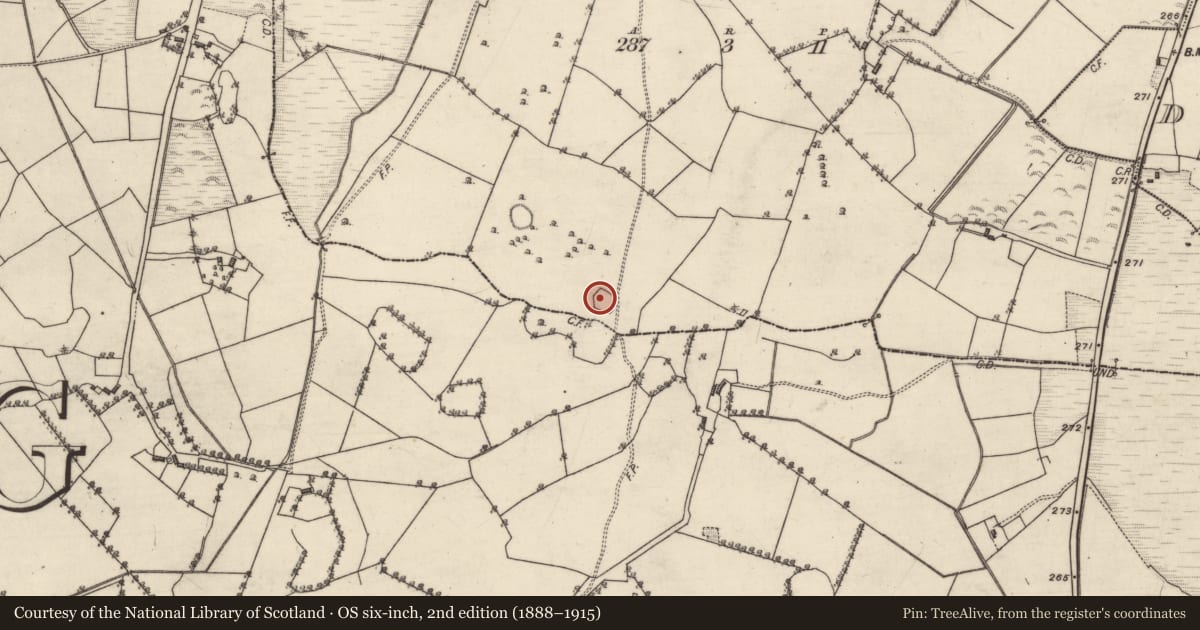 Ordnance Survey six-inch map, 2nd edition (1888–1915) covering the location of Enclosure, Annaghcallow, County Galway, with a pin at the register's coordinates