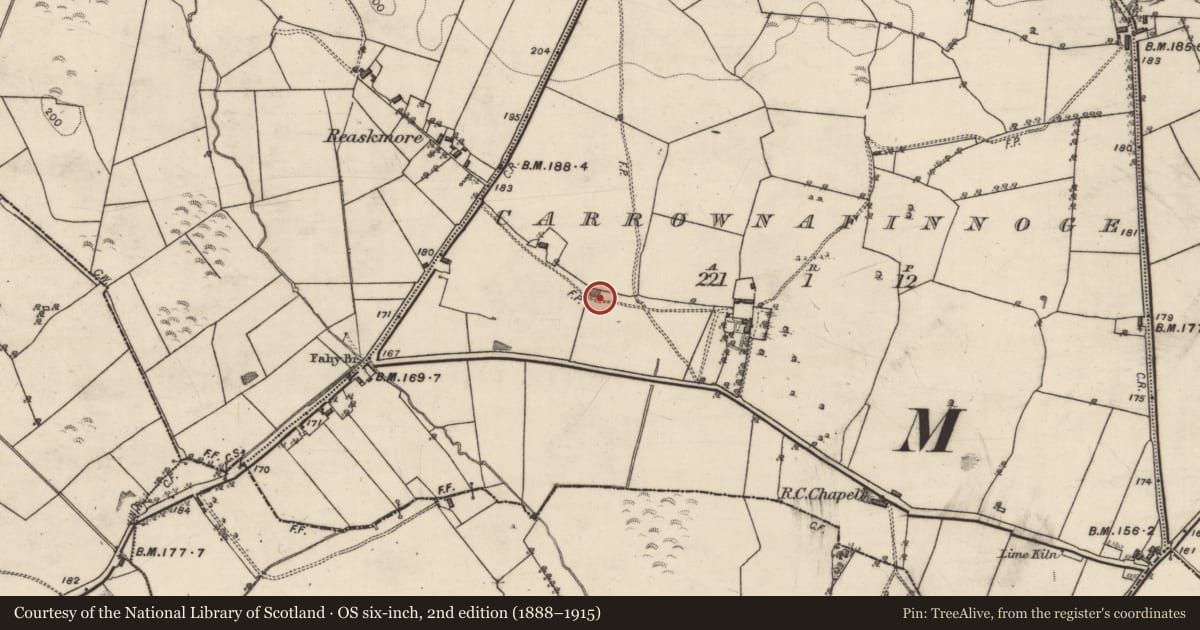 Ordnance Survey six-inch map, 2nd edition (1888–1915) covering the location of Quarry, Carrownafinnoge, County Galway, with a pin at the register's coordinates