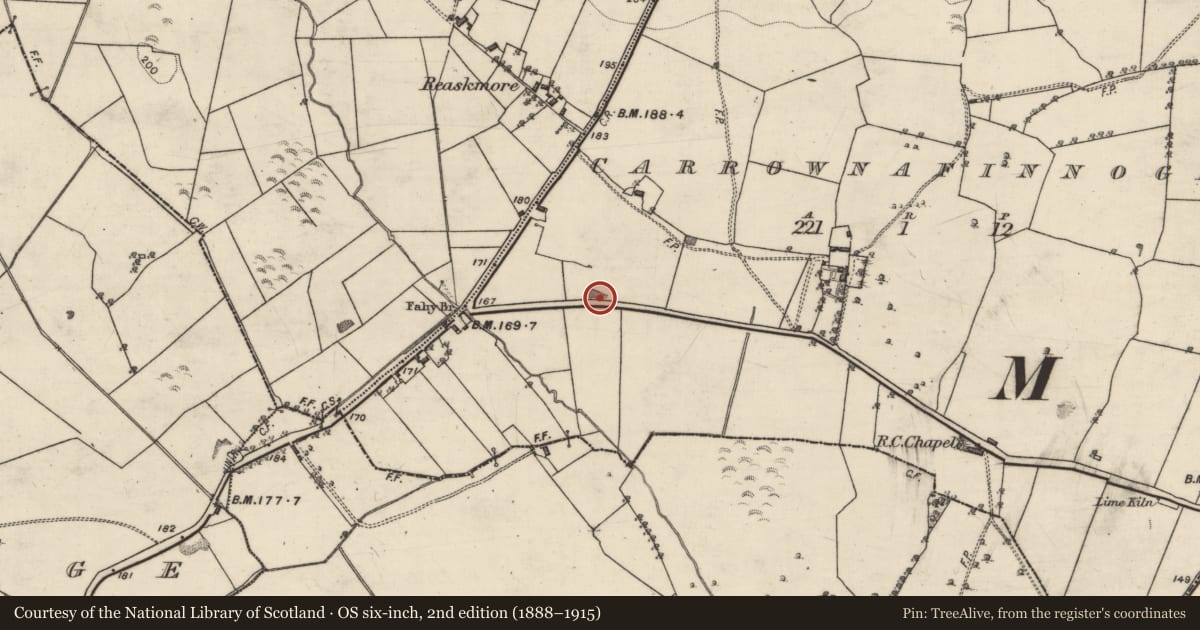 Ordnance Survey six-inch map, 2nd edition (1888–1915) covering the location of Quarry, Carrownafinnoge, County Galway, with a pin at the register's coordinates