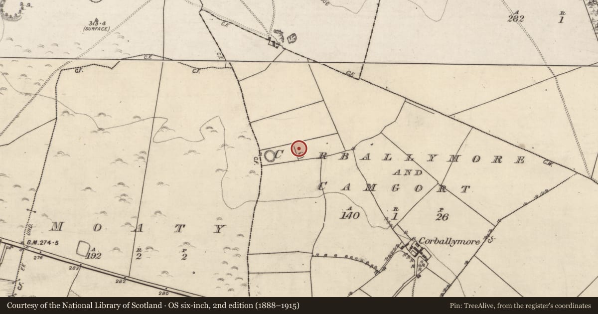 Ordnance Survey six-inch map, 2nd edition (1888–1915) covering the location of Quarry, Corballymore And Camgort, County Galway, with a pin at the register's coordinates