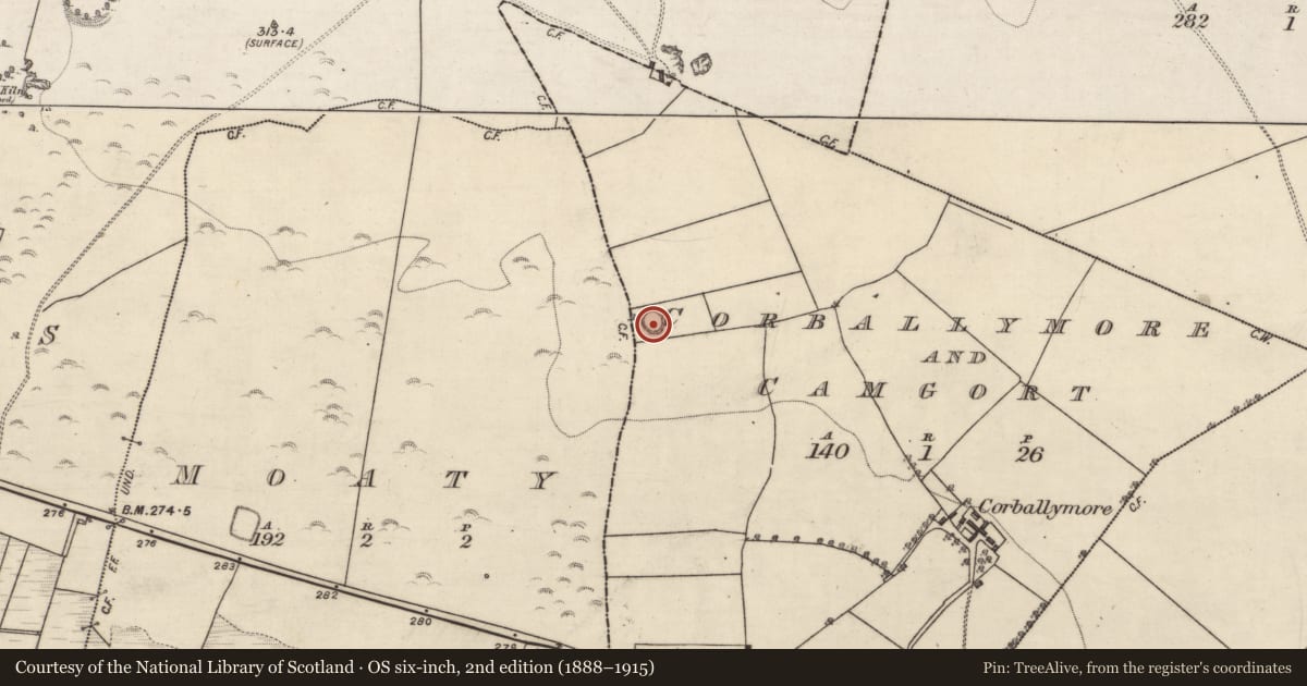 Ordnance Survey six-inch map, 2nd edition (1888–1915) covering the location of Barrow - ring-barrow, Corballymore And Camgort, County Galway, with a pin at the register's coordinates