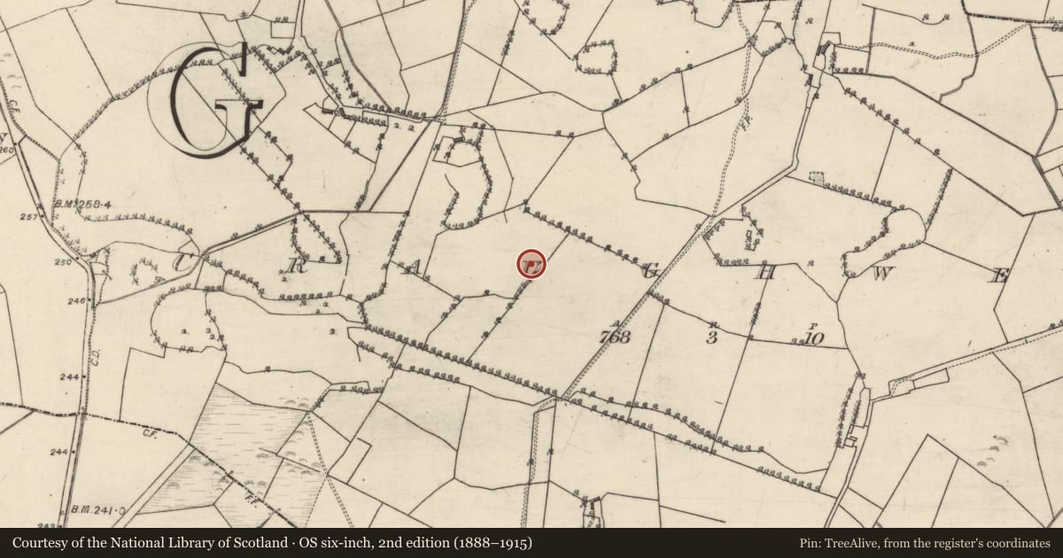 Ordnance Survey six-inch map, 2nd edition (1888–1915) covering the location of Quarry, Craughwell, County Galway, with a pin at the register's coordinates
