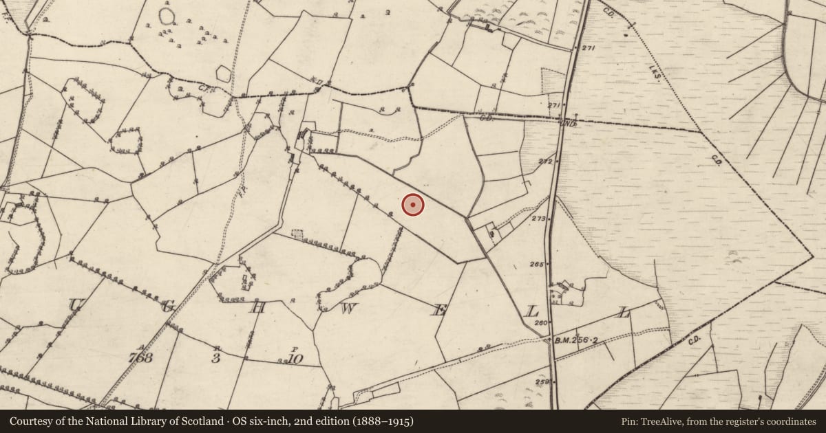 Ordnance Survey six-inch map, 2nd edition (1888–1915) covering the location of Quarry, Craughwell, County Galway, with a pin at the register's coordinates