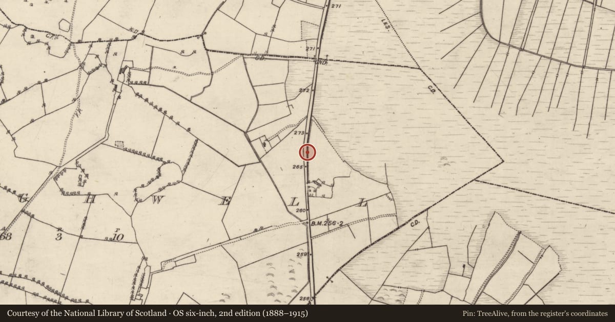 Ordnance Survey six-inch map, 2nd edition (1888–1915) covering the location of Quarry, Craughwell, County Galway, with a pin at the register's coordinates