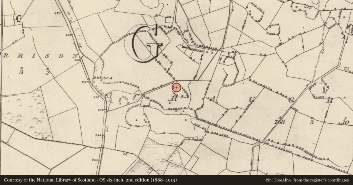 Ordnance Survey six-inch map, 2nd edition (1888–1915) covering the location of Quarry, Craughwell, County Galway, with a pin at the register's coordinates