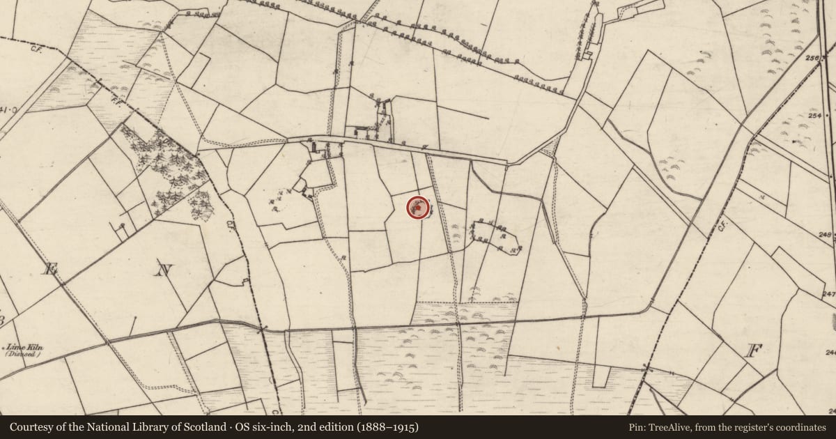 Ordnance Survey six-inch map, 2nd edition (1888–1915) covering the location of Enclosure, Craughwell, County Galway, with a pin at the register's coordinates