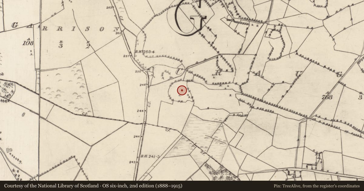Ordnance Survey six-inch map, 2nd edition (1888–1915) covering the location of Ringfort - rath, Craughwell, County Galway, with a pin at the register's coordinates