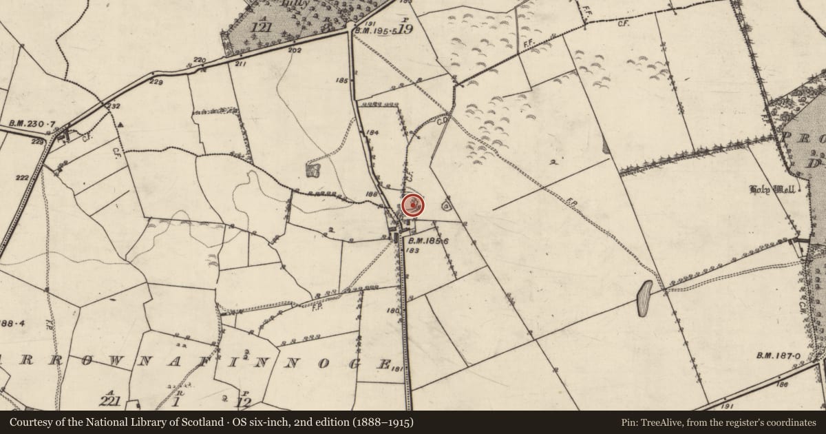 Ordnance Survey six-inch map, 2nd edition (1888–1915) covering the location of Ringfort - rath, Tully, Derry, County Galway, with a pin at the register's coordinates