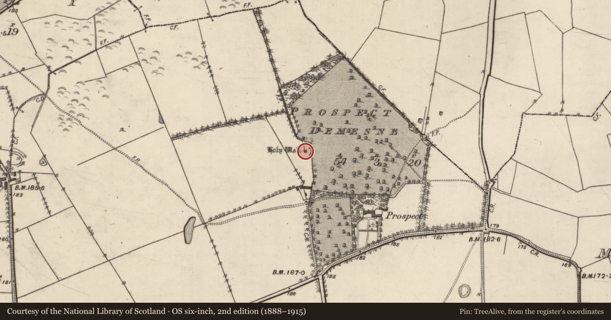 Ordnance Survey six-inch map, 2nd edition (1888–1915) covering the location of Ritual site - holy well, Derry, County Galway, with a pin at the register's coordinates