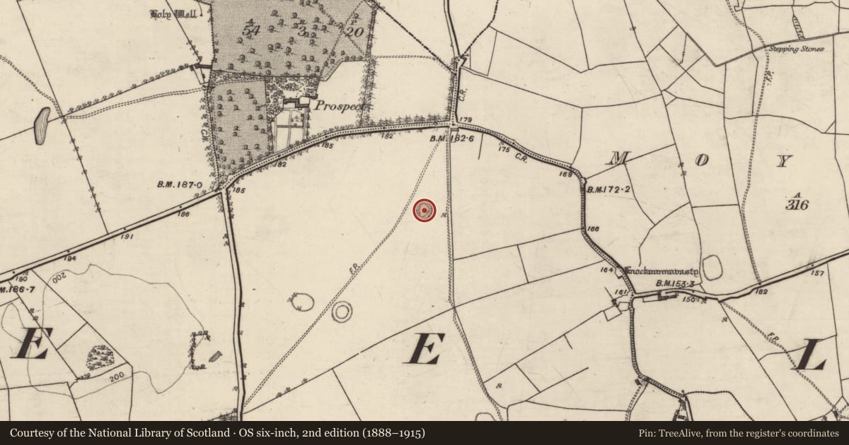 Ordnance Survey six-inch map, 2nd edition (1888–1915) covering the location of Ringfort - rath, Derry, County Galway, with a pin at the register's coordinates