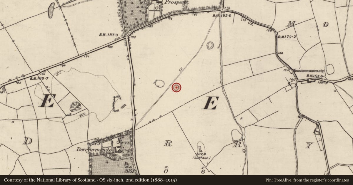 Ordnance Survey six-inch map, 2nd edition (1888–1915) covering the location of Ringfort - rath, Derry, County Galway, with a pin at the register's coordinates