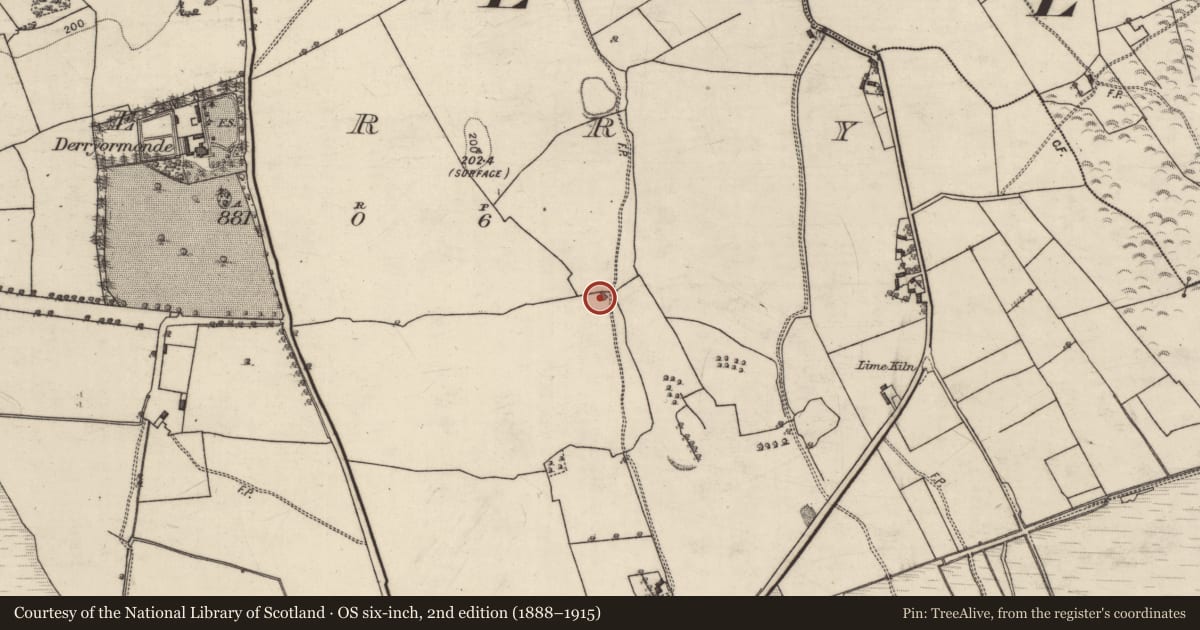 Ordnance Survey six-inch map, 2nd edition (1888–1915) covering the location of Quarry, Derry, County Galway, with a pin at the register's coordinates
